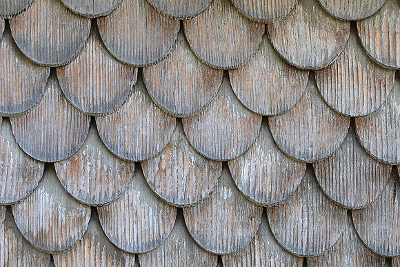 006_SwissShingles