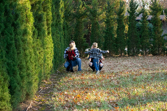 _DSC0230